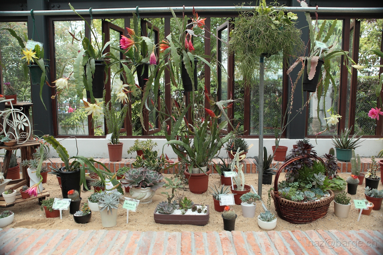 EOS 5D Mark II16_04_20135030.JPG